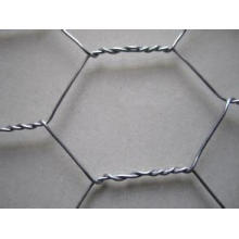 Galvanized Hexagonal Wire Mesh/PVC Coated Hexagonal Wire Mesh